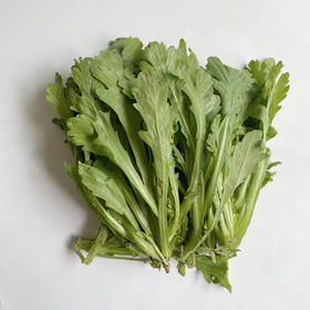 茼蒿300g｜静物自产（买一送一）