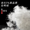 深圳罗湖区小学羽绒马甲85%白鸭绒背心保暖立领无袖（送校徽）（羽绒马甲均为整码） 商品缩略图2