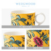 WEDGWOOD玮致活漫游美境骨瓷马克杯水杯复古茶杯杯子 商品缩略图4