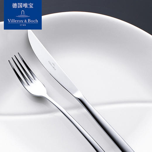 villeroyboch德国唯宝进口18-10不锈钢西餐刀叉勺套装家用皮尔蒙 商品图3
