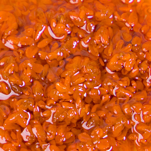 浦城桂花露  花香浓郁  甜而不腻  入茶佐餐甜品搭配 235g/罐 商品图3