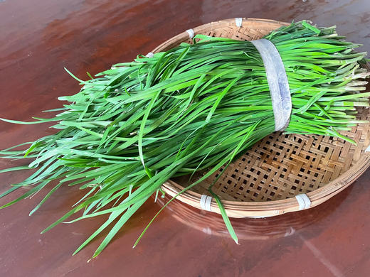 绿之盟凤凰香草花园韭菜 商品图1