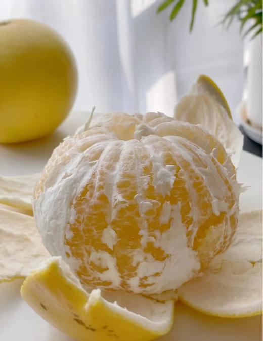 【福建外运】果汁瀑布！爆汁黄金葡萄柚  青皮葡萄柚 漳州产地直发 商品图2