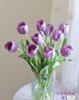 【国产郁金香】  紫色  约9-10枝/扎 商品缩略图0