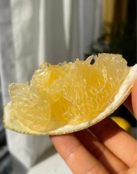 【福建外运】果汁瀑布！爆汁黄金葡萄柚  青皮葡萄柚 漳州产地直发