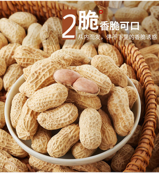 【强丽】 优质五香花生 商品图3