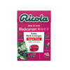 Ricola利口乐润喉糖40g（多口味) 商品缩略图1