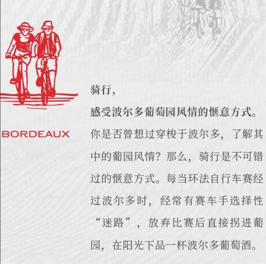 拉菲传奇波尔多赤霞珠干红葡萄酒750ml法国原瓶进口 商品图3