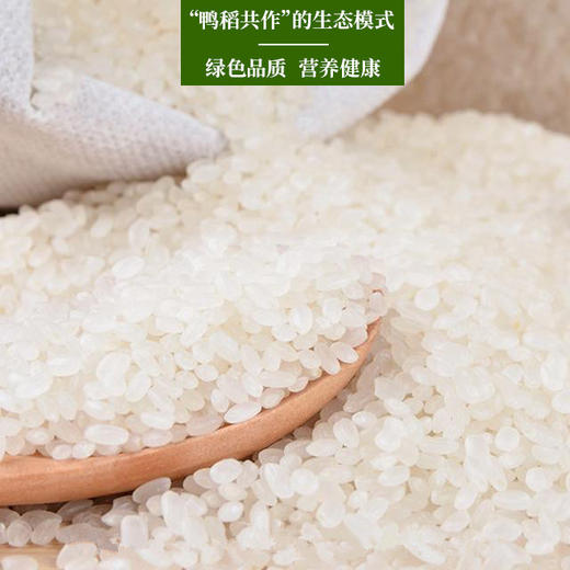 星火东北生态鸭稻米5KG/袋 【LY】 商品图1
