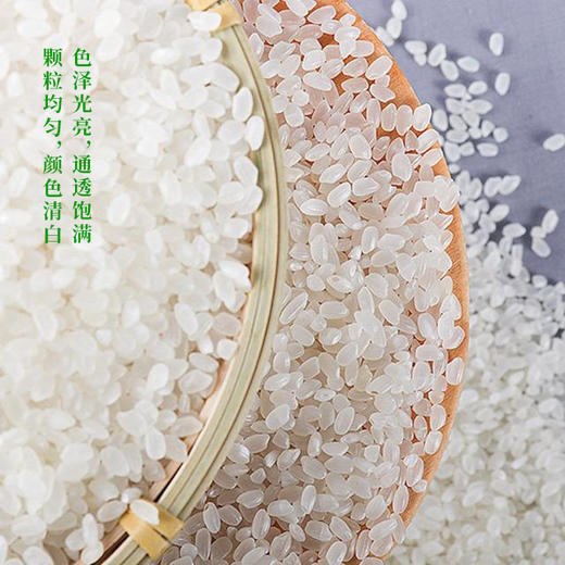 星火东北生态鸭稻米5KG/袋 【LY】 商品图2