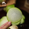 生态青皮萝卜 | 合作生产*Eco-white radish | Partner Production 商品缩略图2