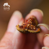 生态无花果干（芭劳奈，临期8折） | 合作生产*Ecological dried figs｜Coproducted 商品缩略图1