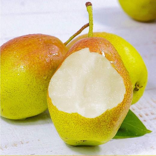 新疆库尔勒香梨精品果1斤装 商品图0