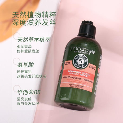 欧舒丹（L'OCCITANE）5合1草本精华菁纯修护护发素250ml 修护干枯毛躁分叉丰盈蓬松 117656/117657 商品图3