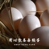 【十堰主城区包邮】郧阳区青山鸽子蛋 10枚装（周五发货） 商品缩略图2