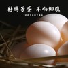 【十堰主城区包邮】郧阳区青山鸽子蛋 10枚装（周五发货） 商品缩略图4