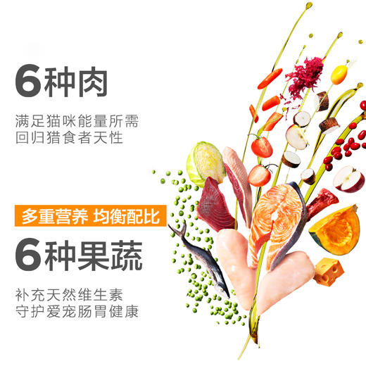 卫仕猫粮1.8kg室内成猫幼猫全阶段猫咪主粮 商品图3