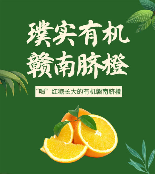 【赣南有机脐橙6斤/10斤装】 商品图1