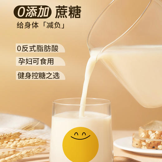 【益品良食】【素饮好蛋白！30秒还原现磨豆浆】纯黄豆粉，纯黑豆粉，精工细磨，健康，还原现磨豆浆口感，21天自律打卡豆浆粉，懒人早餐代餐冲饮速溶，纯黄豆豆浆粉-健康 商品图2