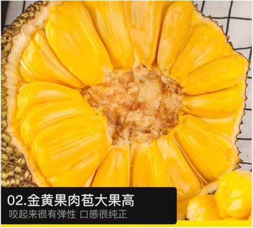 琼中美味海南黄肉菠萝蜜1整只装 商品图1