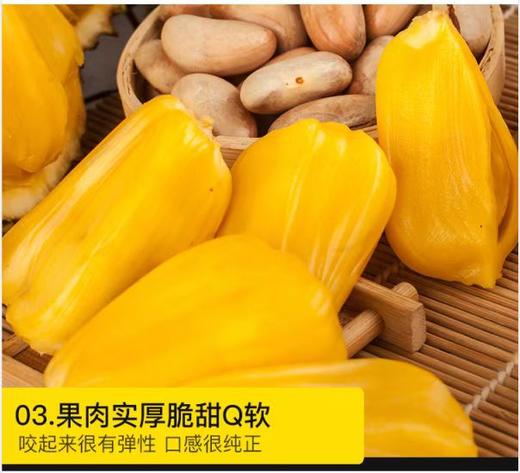 琼中美味海南黄肉菠萝蜜1整只装 商品图2