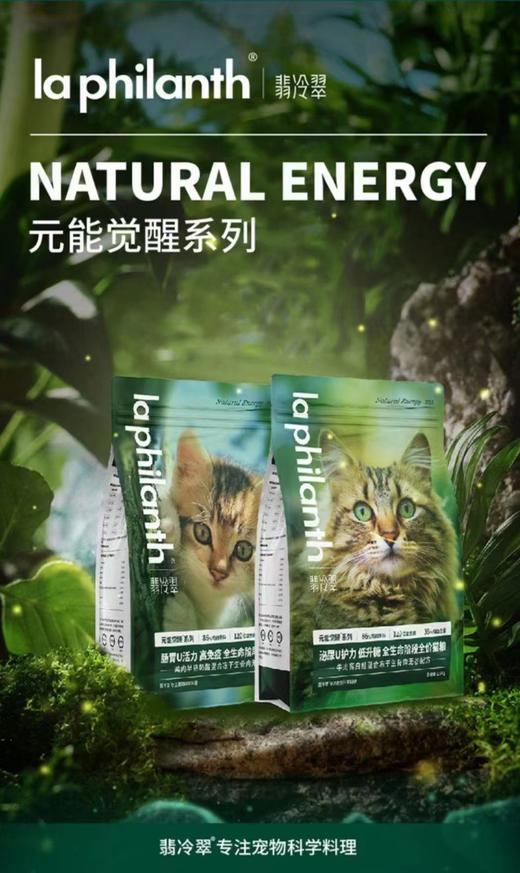 翡冷翠元能觉醒升级款猫咪全价冻干生骨肉 商品图0