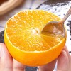 爱媛果冻橙1Kg+  5~6个 商品缩略图3