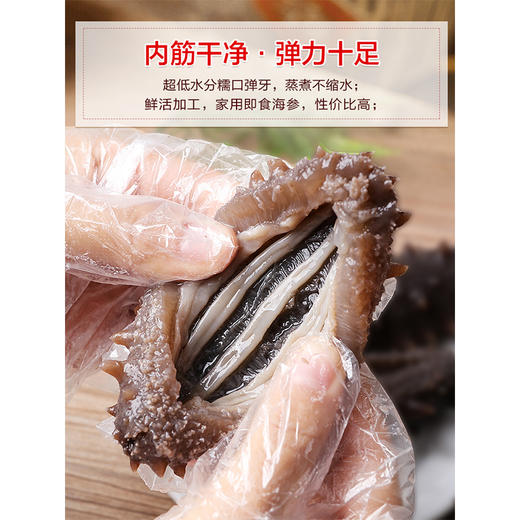 54g胡庆余堂速发干海参  免洗速发 商品图2