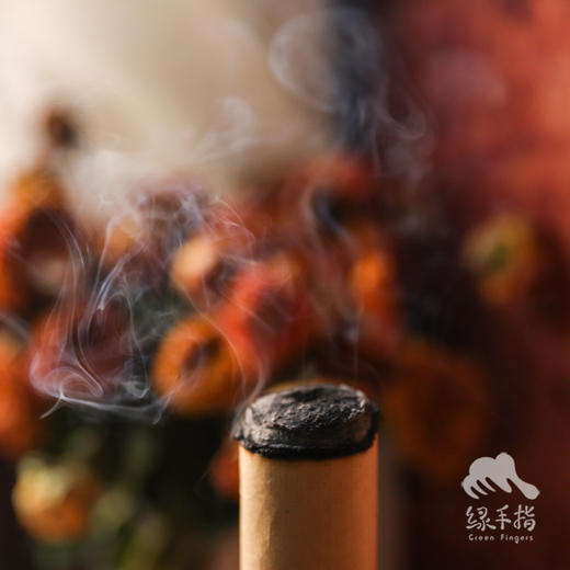 南阳艾条 | 合作生产 * Nanyang Mugwort Stick  | Coproduction 商品图4