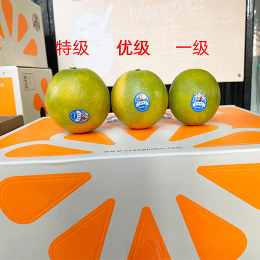 【特级】实建褚橙特级5kg/件 商品图1