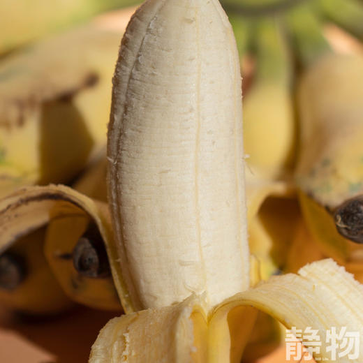老实芭蕉｜云南元江 商品图4