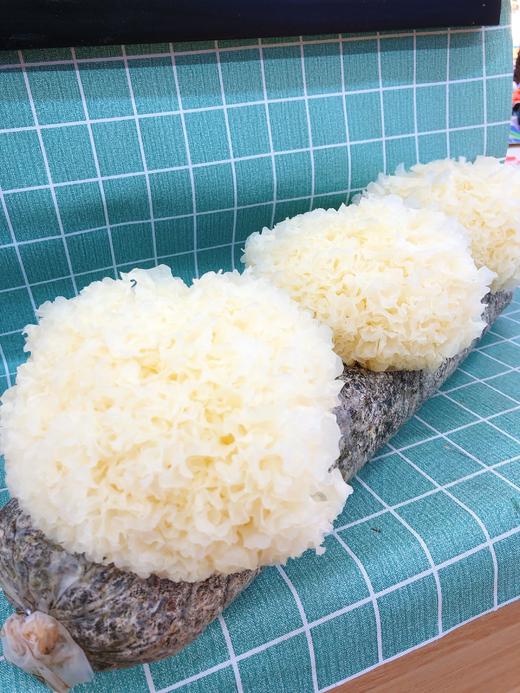 银耳一朵 商品图0