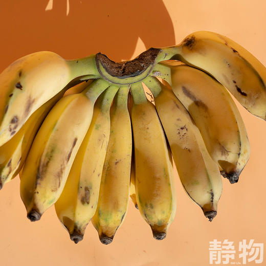 老实芭蕉｜云南元江 商品图2