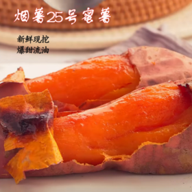 【C】山东精选糖心蜜薯约5.5斤