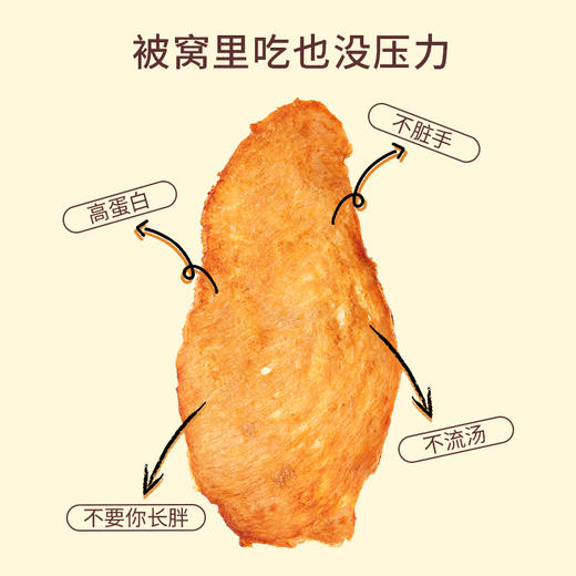 专属 低卡博士鸡胸肉干被窝零食1.0 商品图2