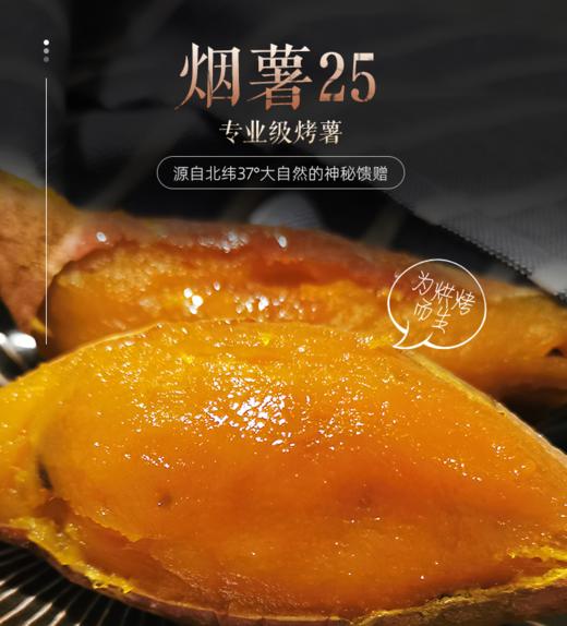 【C】山东精选糖心蜜薯约5.5斤 商品图2