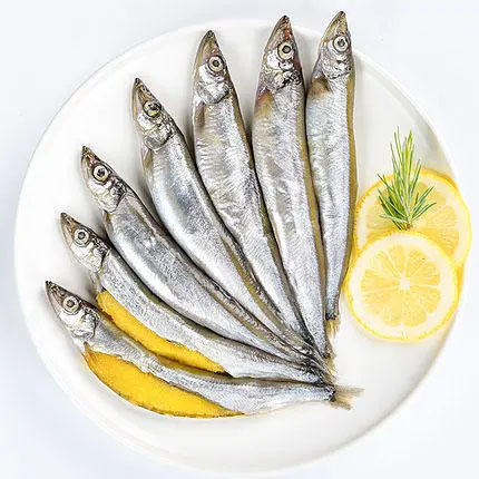 活冻多春鱼（8条/份）  | 深海野生海钓海鲜 商品图0