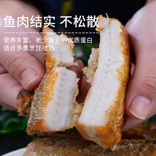 生鲜肉类 速冻带鱼段400g左右/袋 商品图1