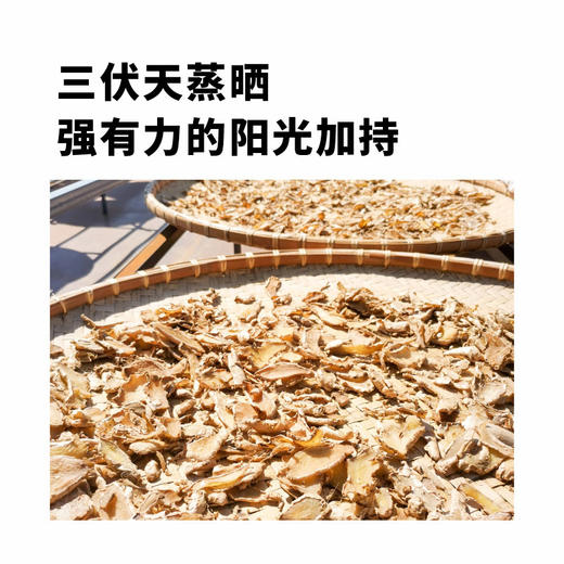 三伏九制姜粉30G/盒 商品图2
