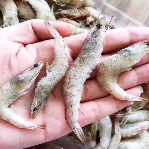 小河虾2盒 商品图1