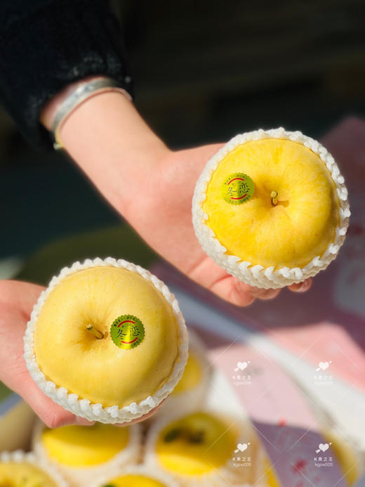 「冬恋苹果」# 全球十大苹果之一，清脆爽口 商品图4