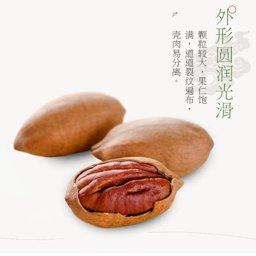 【强丽】精选碧根果 商品图3