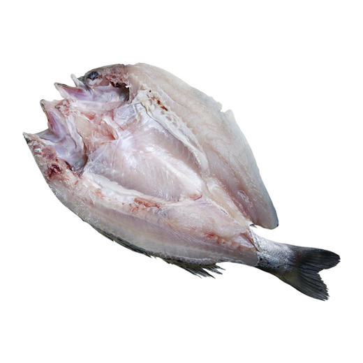 珠海白蕉海鲈鱼400-500g/条 肉质鲜嫩 筷子戳出蒜瓣肉 京东发货 商品图5