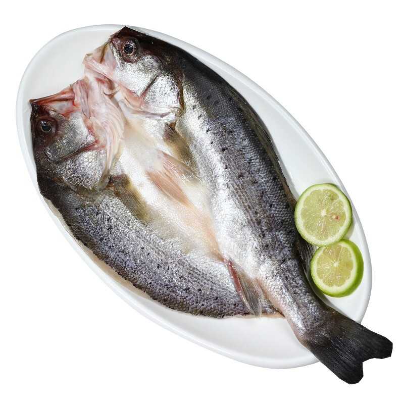 珠海白蕉海鲈鱼400-500g/条 肉质鲜嫩 筷子戳出蒜瓣肉 京东发货