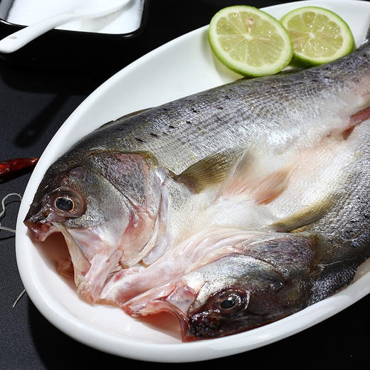 珠海白蕉海鲈鱼400-500g/条 肉质鲜嫩 筷子戳出蒜瓣肉 京东发货 商品图1