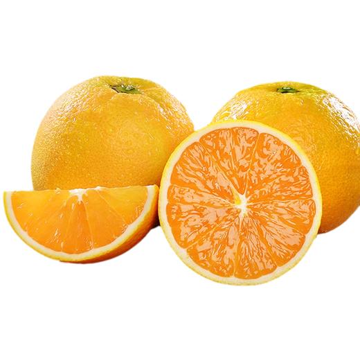 九月红脐橙9斤左右彩箱 大果（商） 商品图0