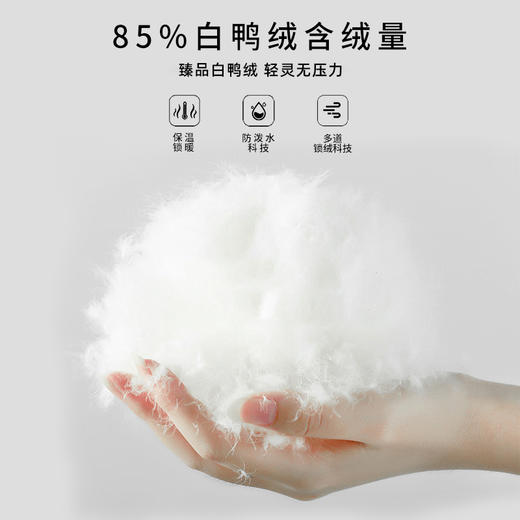 深圳罗湖区小学羽绒马甲85%白鸭绒背心保暖立领无袖（送校徽）（羽绒马甲均为整码） 商品图3