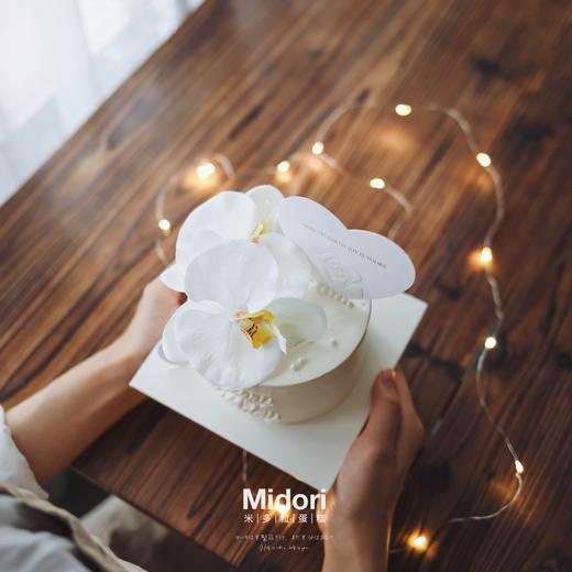 蝴蝶兰 | 纯白系 商品图0