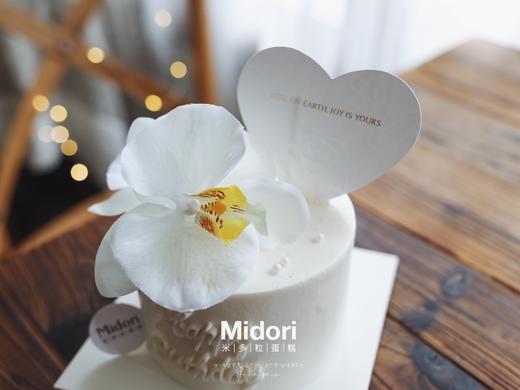 蝴蝶兰 | 纯白系 商品图3