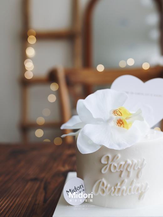 蝴蝶兰 | 纯白系 商品图2